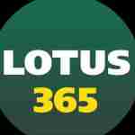lotus365 bet Profile Picture