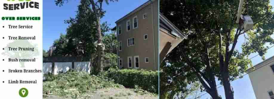 BBD Tree Service Cover Image