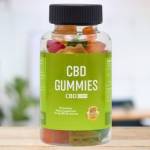 PauletteBDooley Profile Picture