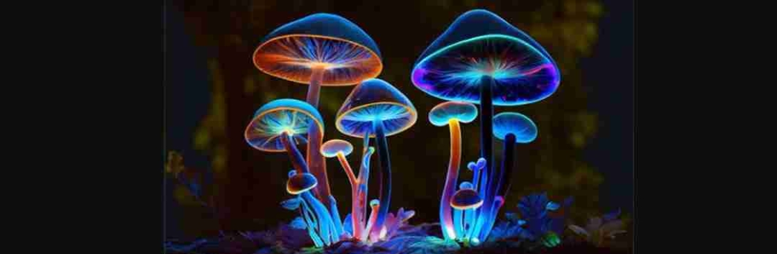 Psychedelia Dream Cover Image