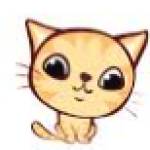 moltichris profile picture