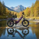 VICTRIP Ebike Profile Picture