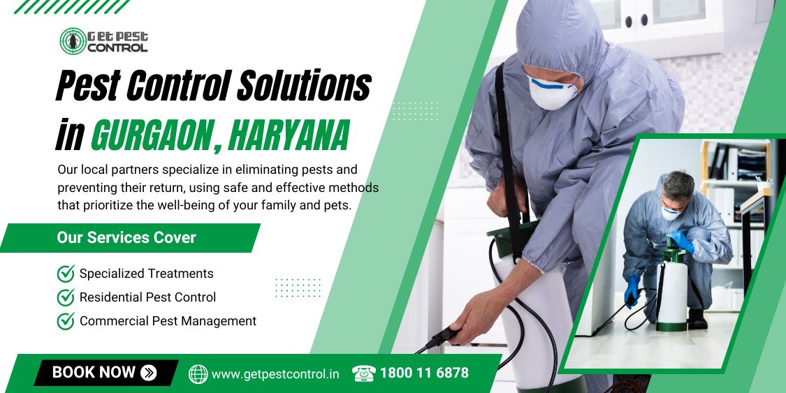 Pest Control in Gurgaon: Safe & Effective Pest Solutions