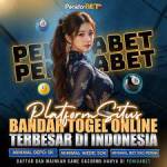 lexingokla Profile Picture