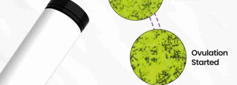 KNOWHEN KNOWHEN Cover Image