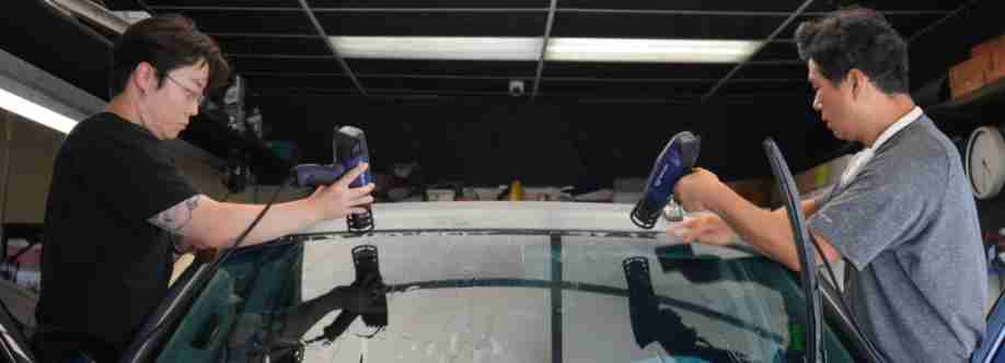 Downey Tinting Cover Image