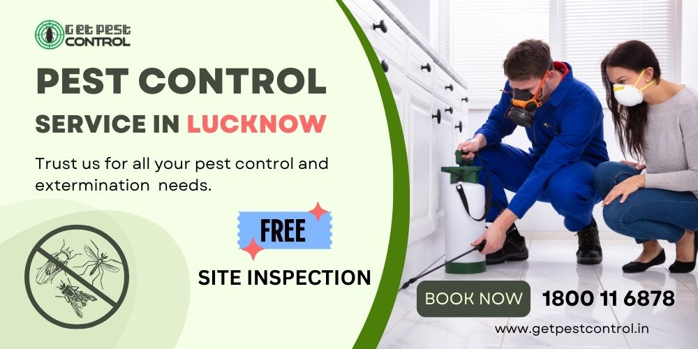 Pest Control in Lucknow at Unbeatable Price, Free Site inspection