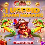 Keamanan Bermain di SLOTGACOR4D Mengapa Situs Ini Terpercaya Profile Picture