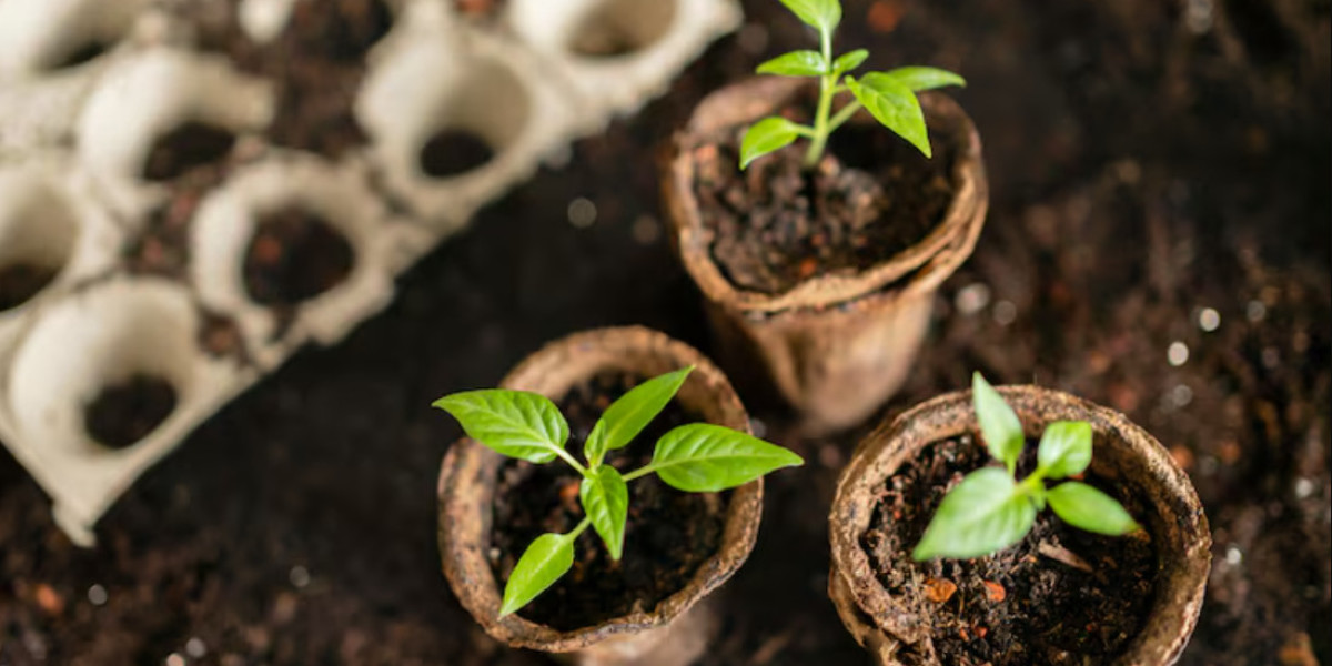 How Plant Growth Fertilizer Boosts Indoor & Outdoor Plant Health: A Complete Guide