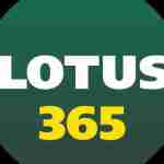 lotus365 bet Profile Picture