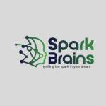 SparkBrains AI Machine Learning Profile Picture