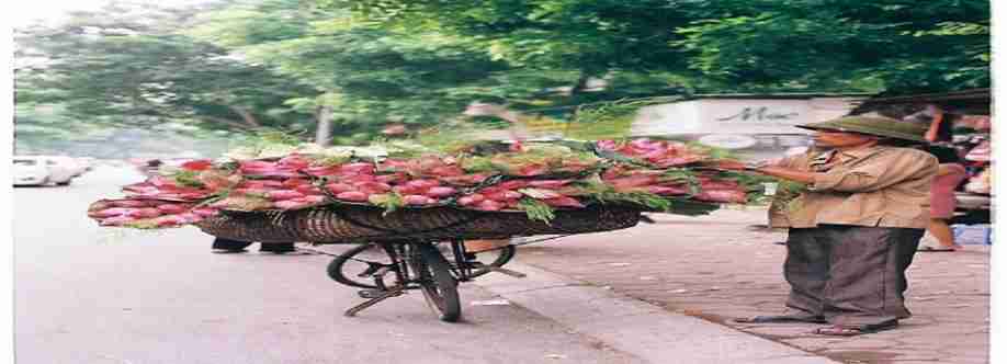 INSCENTIVE LLC Cover Image