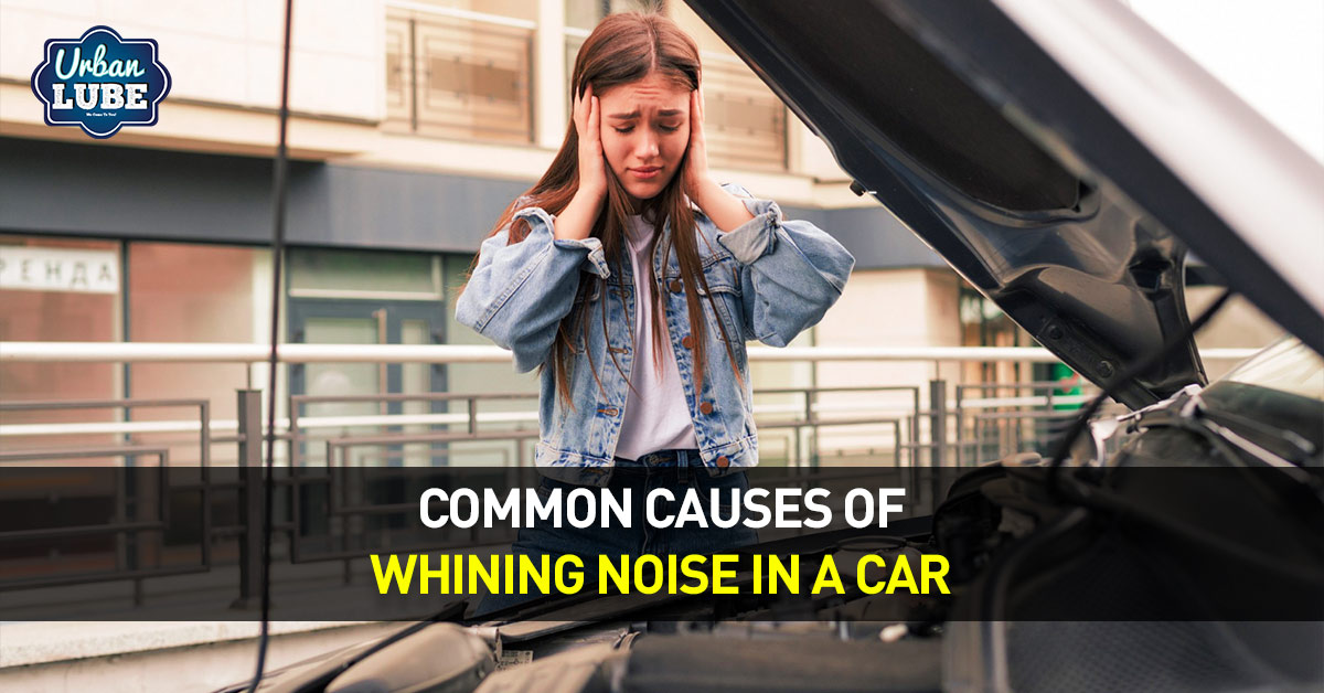 Common Causes of Whining Noise in a Car