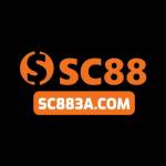 SC88 3acom Profile Picture