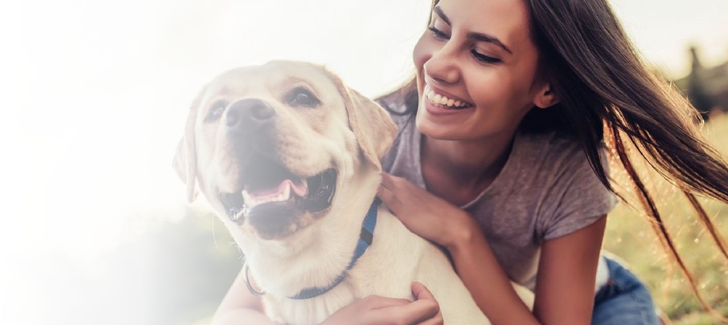 Pet Ultrasounds and Radiography Services in South Calgary