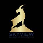 businesssolutionsskyview Profile Picture