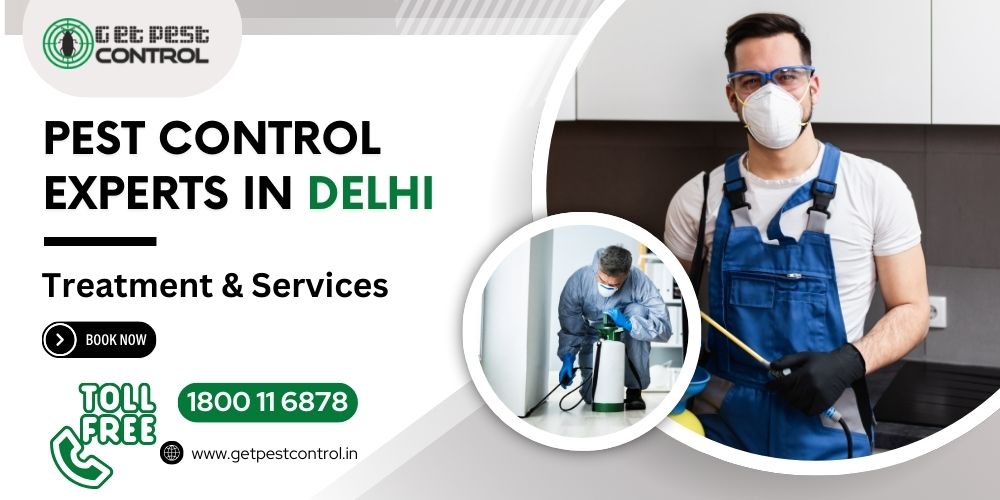 Pest Control in Delhi | Charges, Services & Free Quotes