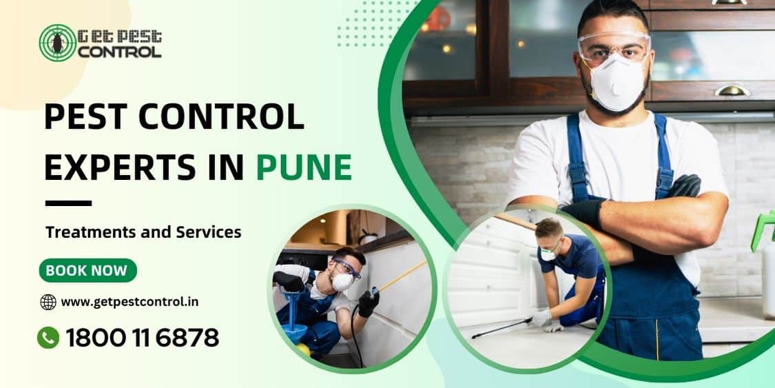 Pest Control Services in Pune | Get Free Quotes Now