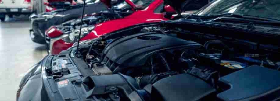 Netz bay Cover Image