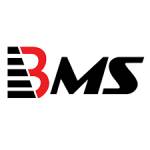 BMS Auditing Profile Picture