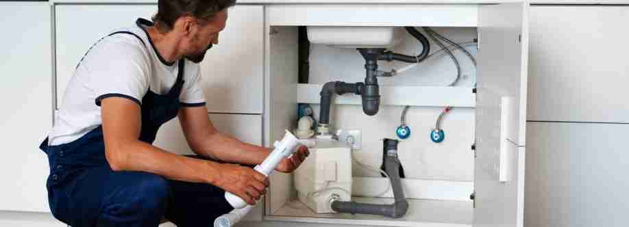 Plumbing Network Cover Image