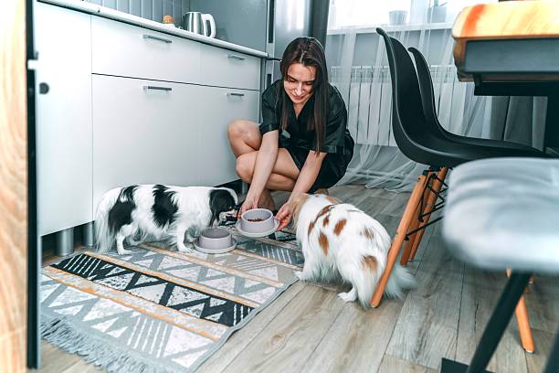 How to build a long‑term relationship with your favourite pet sitter