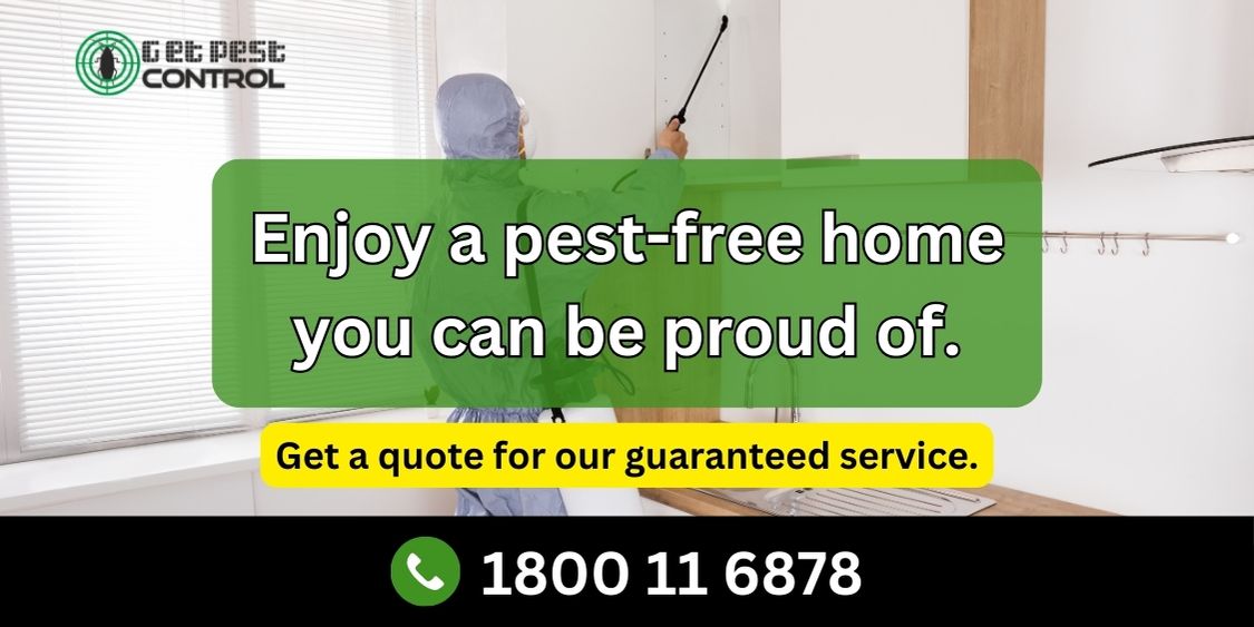 Get Best Pest Control in Chandigarh at Low Price