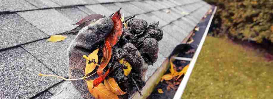 Regal Gutter Cleaning Geelong Cover Image