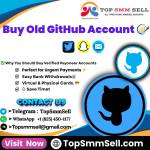 Buy GitHub Accounts Profile Picture