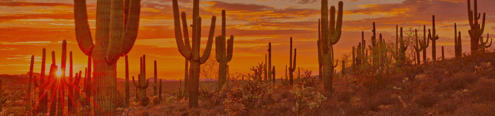 Furnace Repair Phoenix AZ | Phoenix Heating Repair