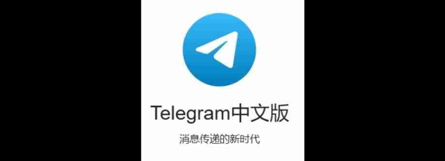 纸飞机中文版 Cover Image