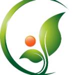 4S Slimming Capsules 4S Slimming Capsules Profile Picture