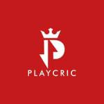 Playcric profile picture