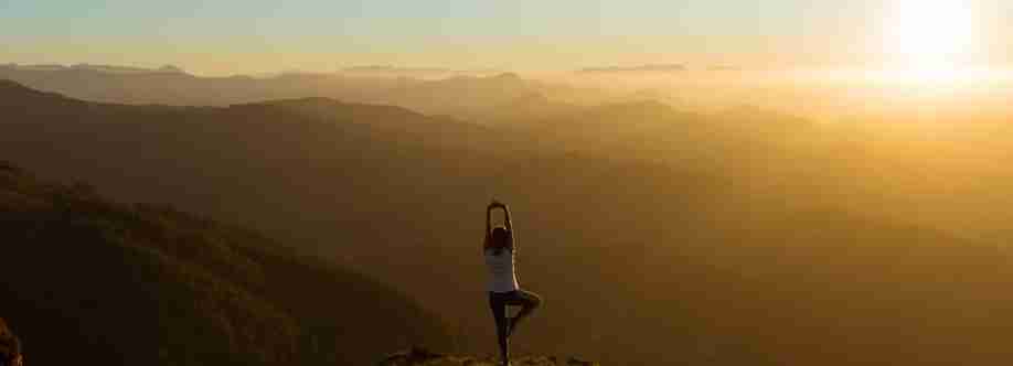 Zero Toxins Cover Image