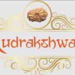 Rudraksh Wala Profile Picture