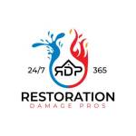 Restoration Damage Pros of Atlanta Profile Picture
