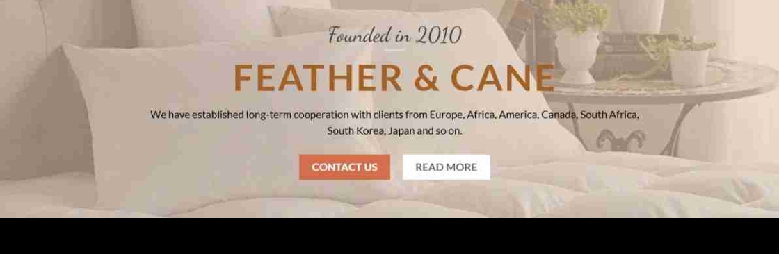 Feathers Cane Cover Image