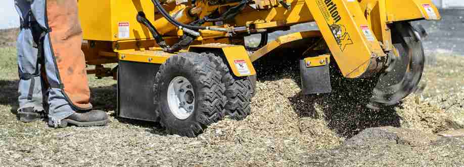 Southern Star Stump Cover Image