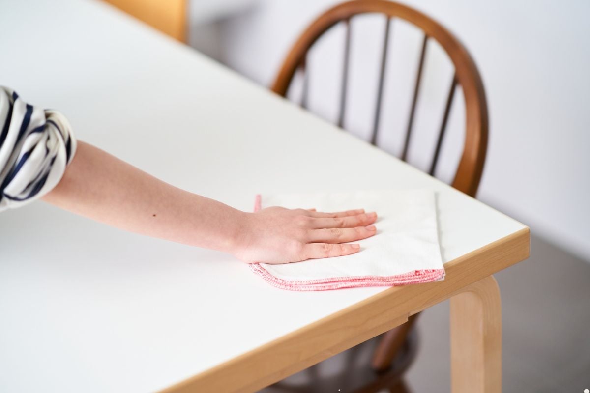 Cleaning vs. Sanitizing vs. Disinfecting: What’s the Difference and Why Probiotic Cleaners Are Changing the Game