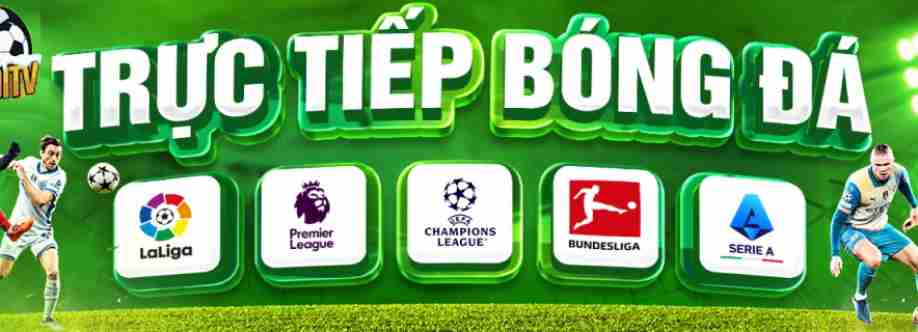 Vaoluoitv ink Cover Image