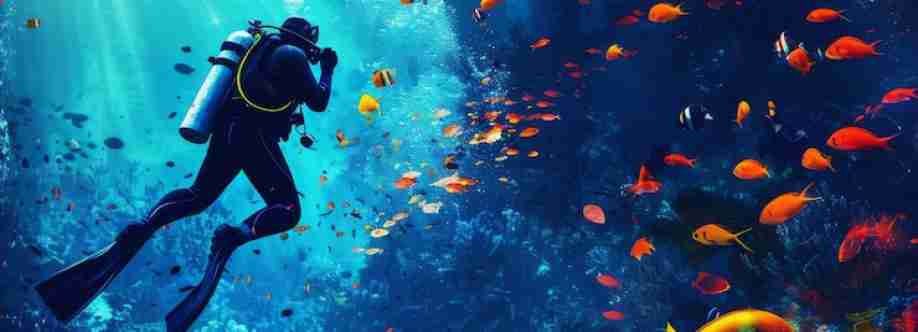 Petro Divers Cover Image