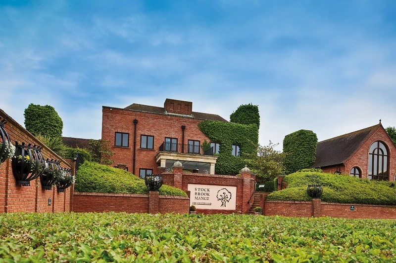 Why Wedding Venues In Es**** Hold a Special Kind of Magic -  WriteUpCafe