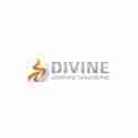 Divine Surface Solutions Profile Picture