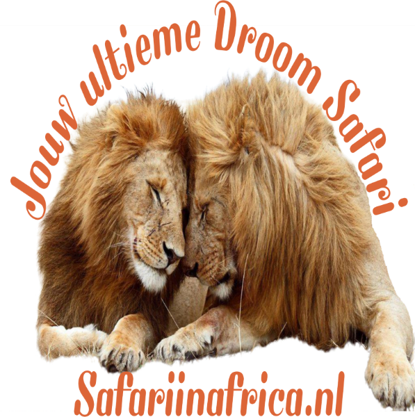 Scroll naar bovenzijde