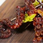 nomada Profile Picture