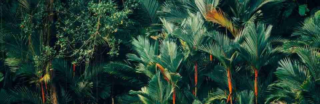 FlowState Therapy Cover Image