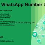 aysha Profile Picture