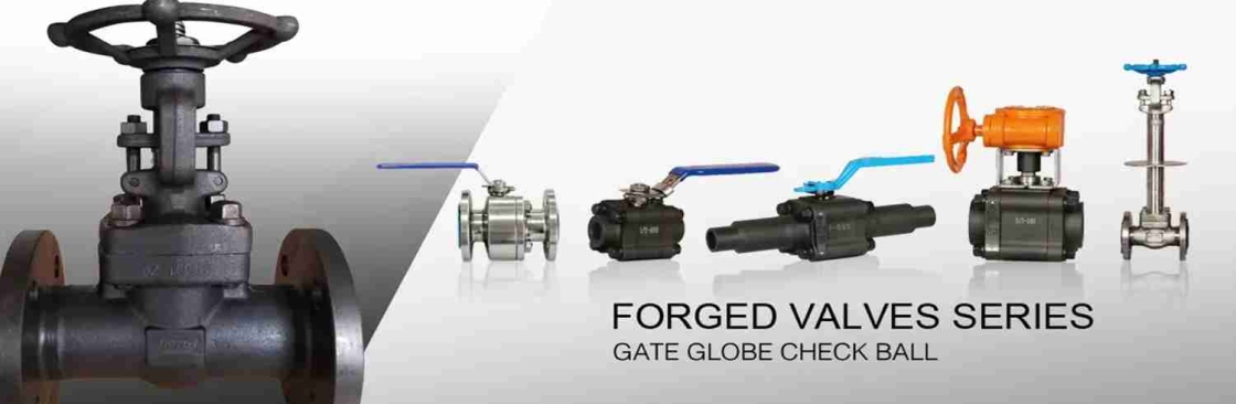 China Forged Valves Cover Image