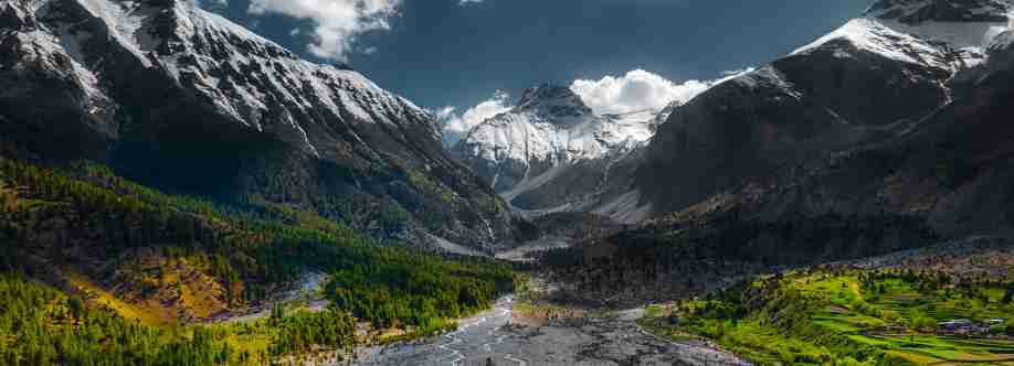 Goldseal Shilajit Profile Picture