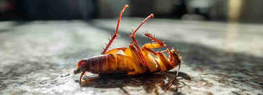 On Call Pest Control Cover Image